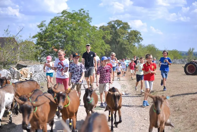 Descente des chèvres à la pâture -Ferme Borei d'Imbert -Roca  web