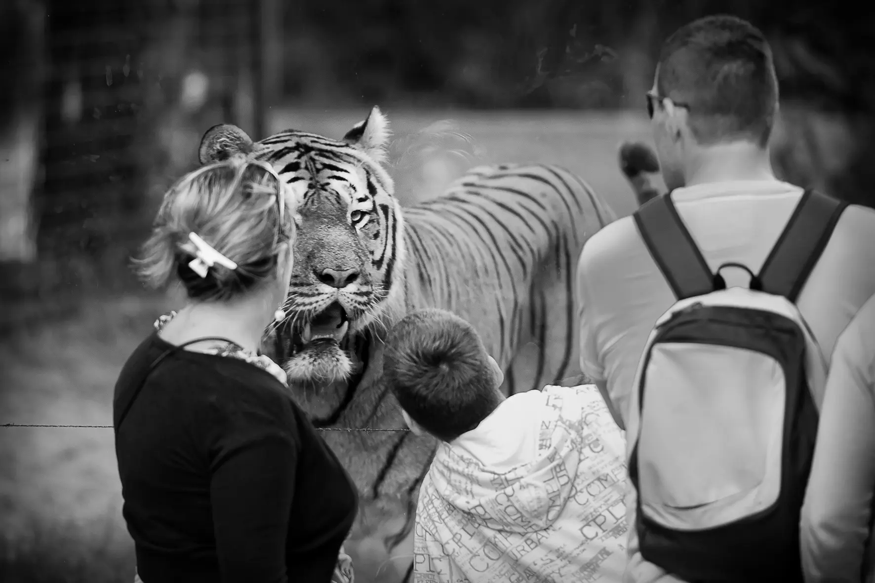 Expo Nature ou culture septembre MdPatrimoine
