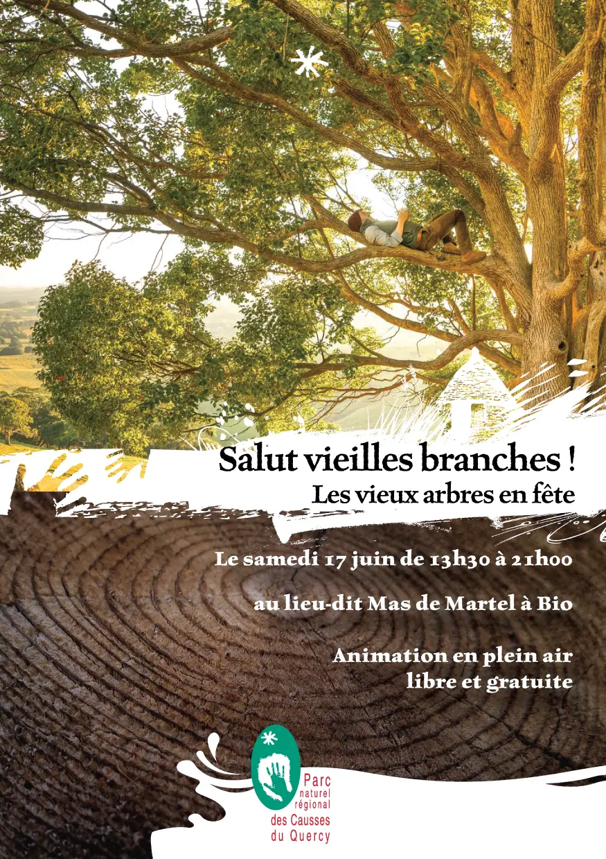 FETE_ARBRE1c