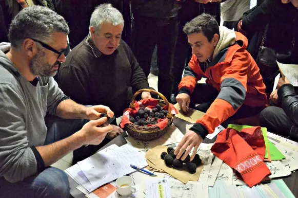 Marché aux Truffes GIGNAC1