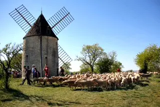 moulin