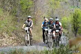 Rando VTT