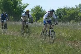 VTT