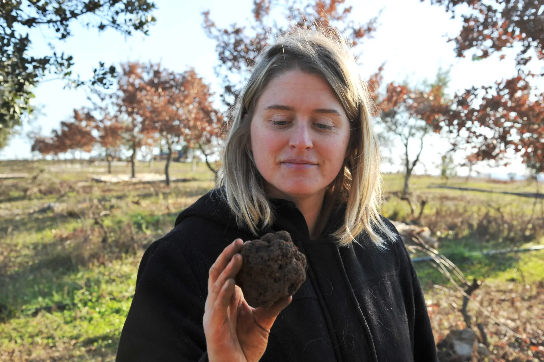 FermeTruffe_Guide