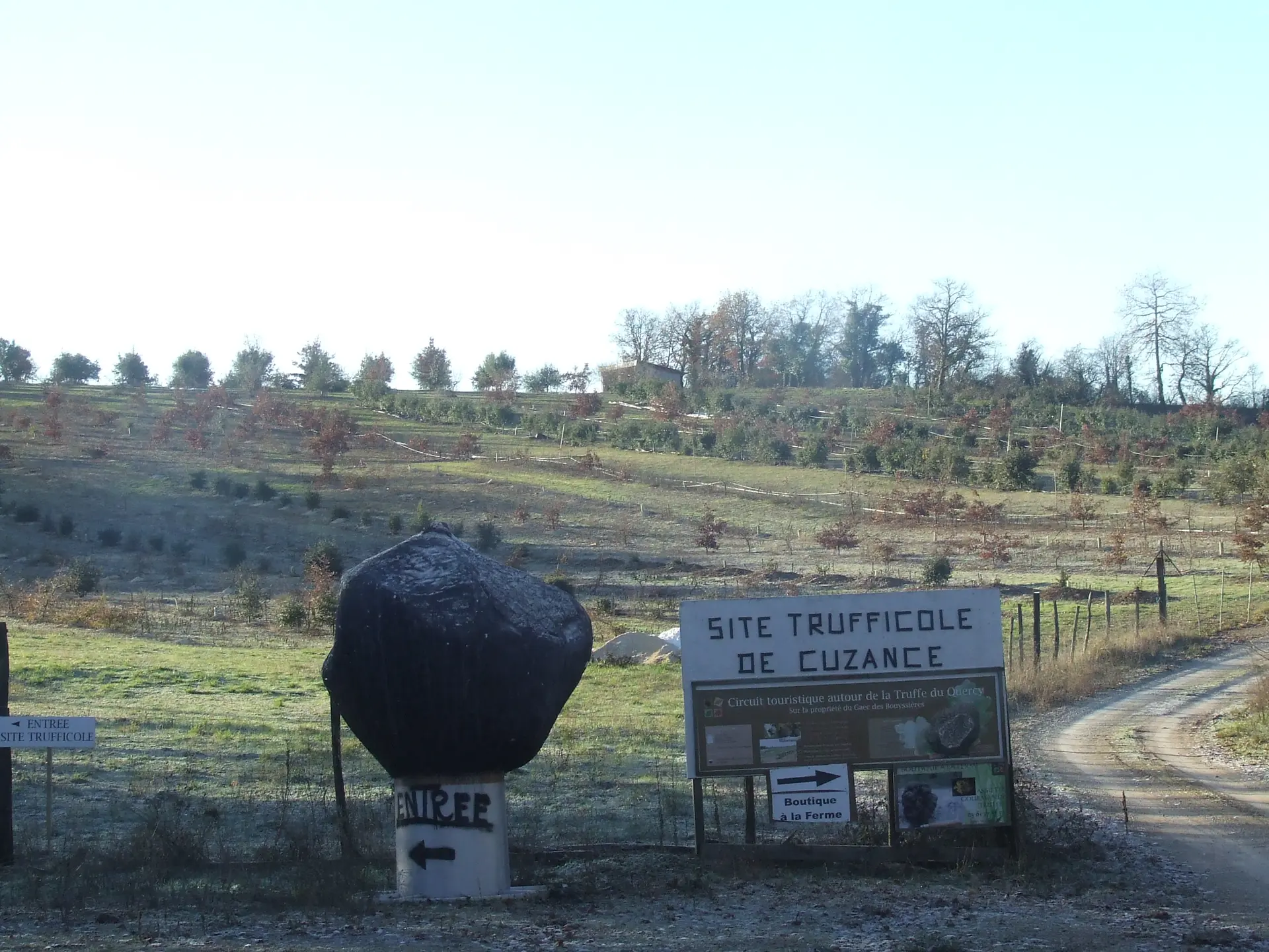 FermeTruffe_Site