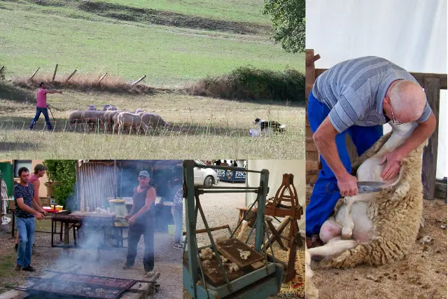 Fête de l'Agneau Thégra