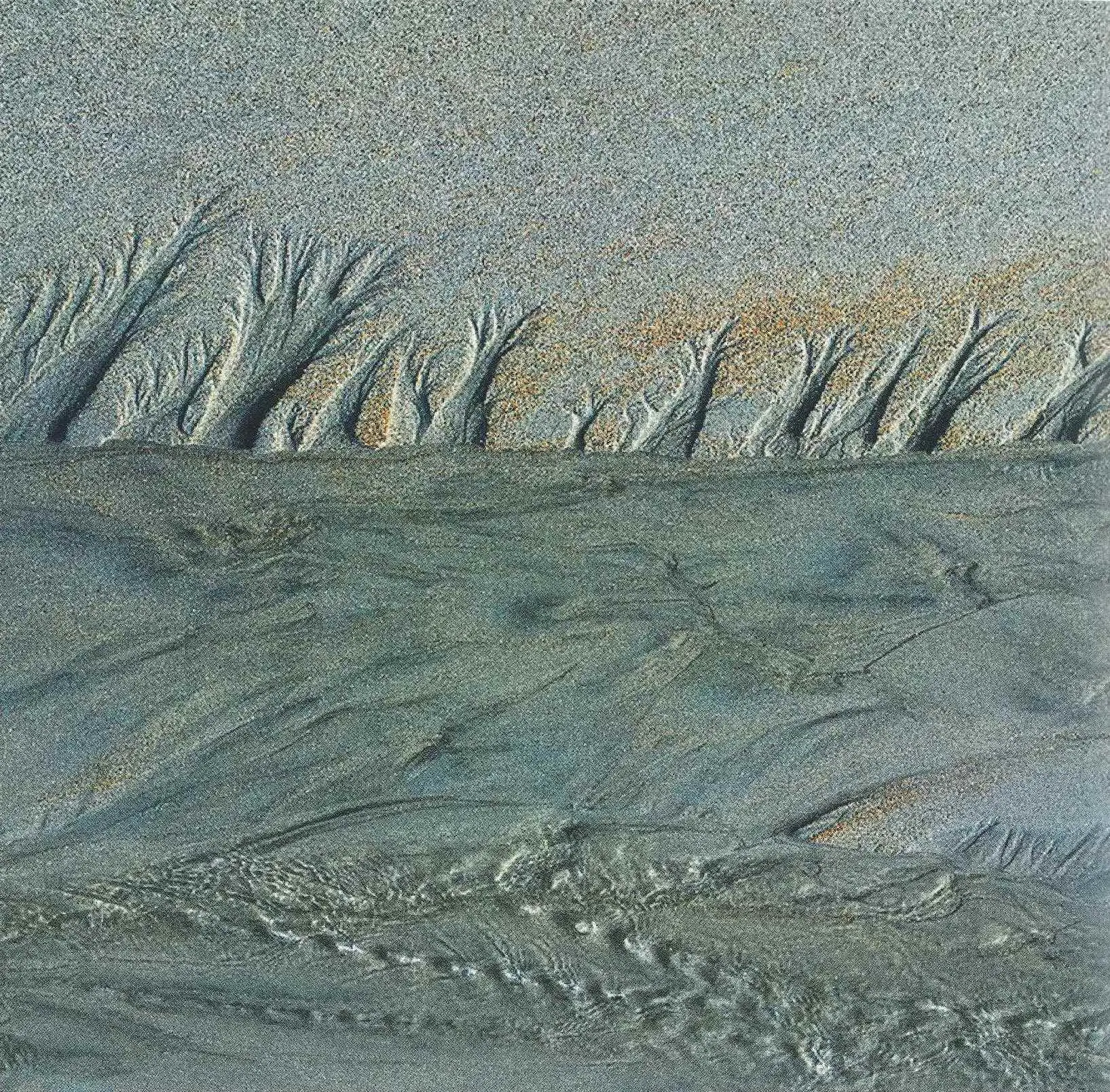 Fiona Spalding
