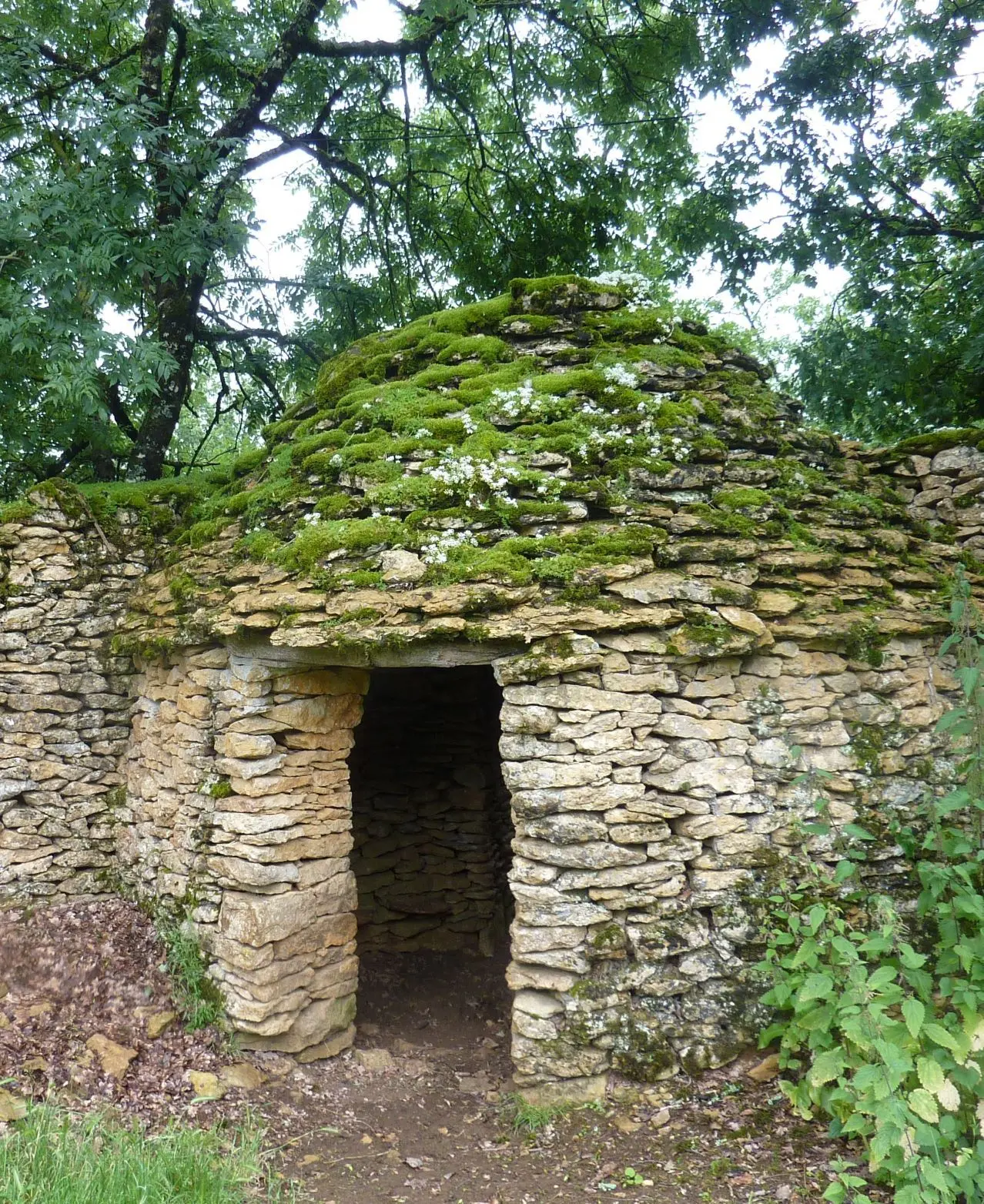 Fort de cantal