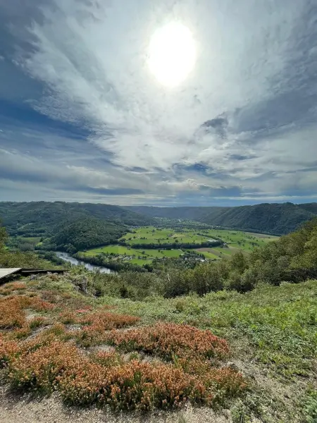 IMAGE-1-450x600