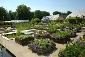 Jardin