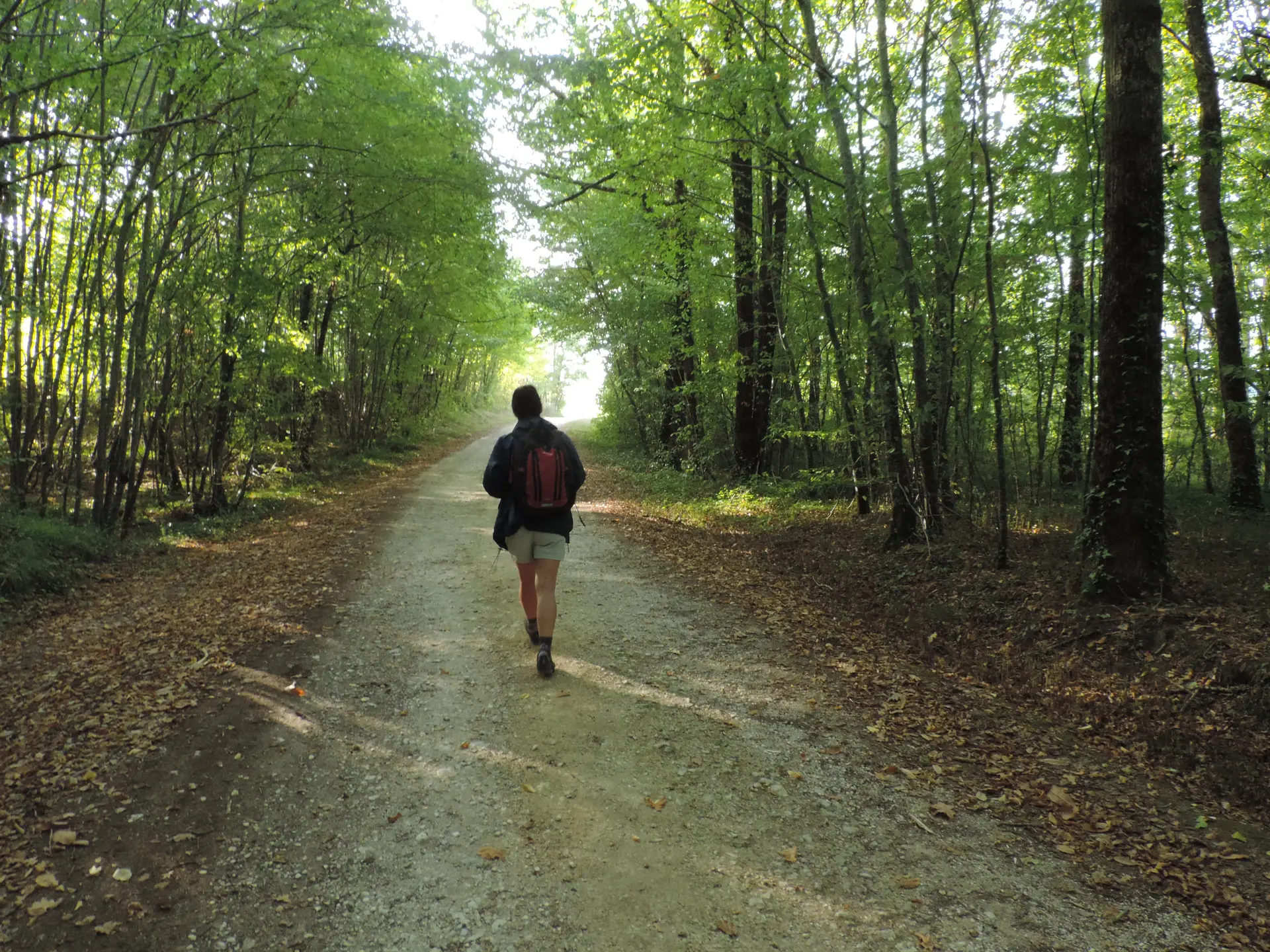 Joli chemin, motivant©M.Légeron
