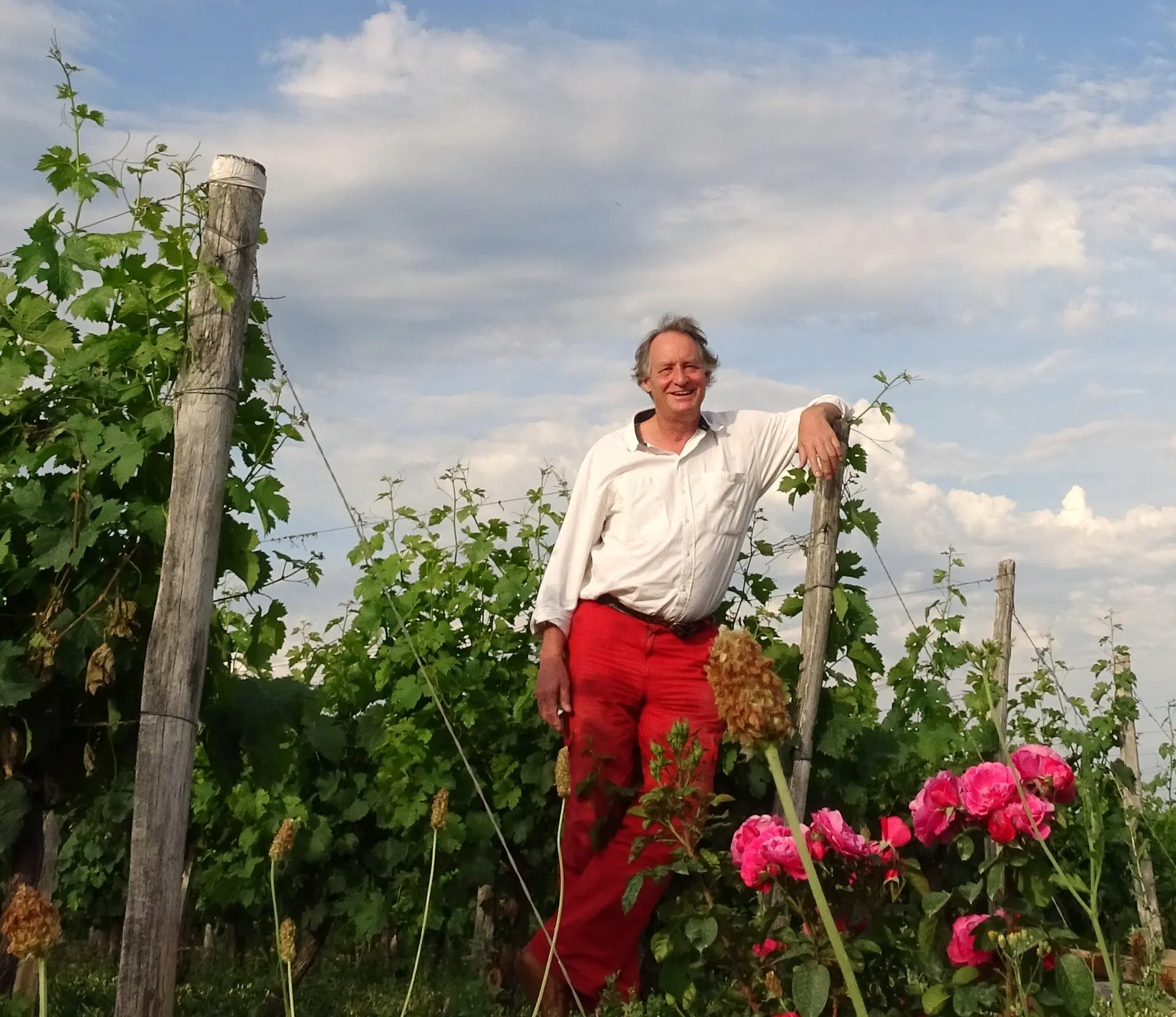 L'ame du vin © Astrid Langhade-02