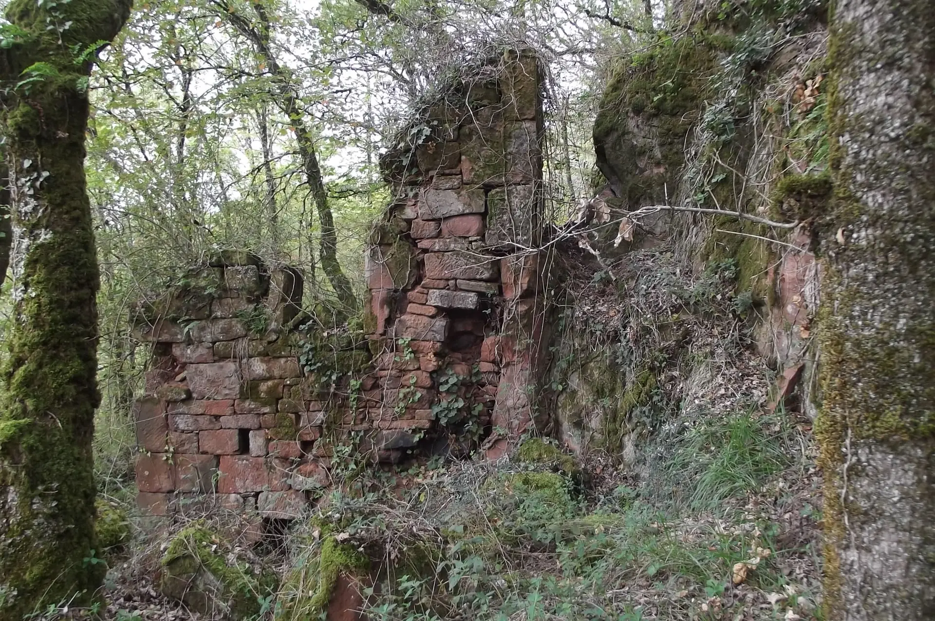 Maison en ruine dans les bois