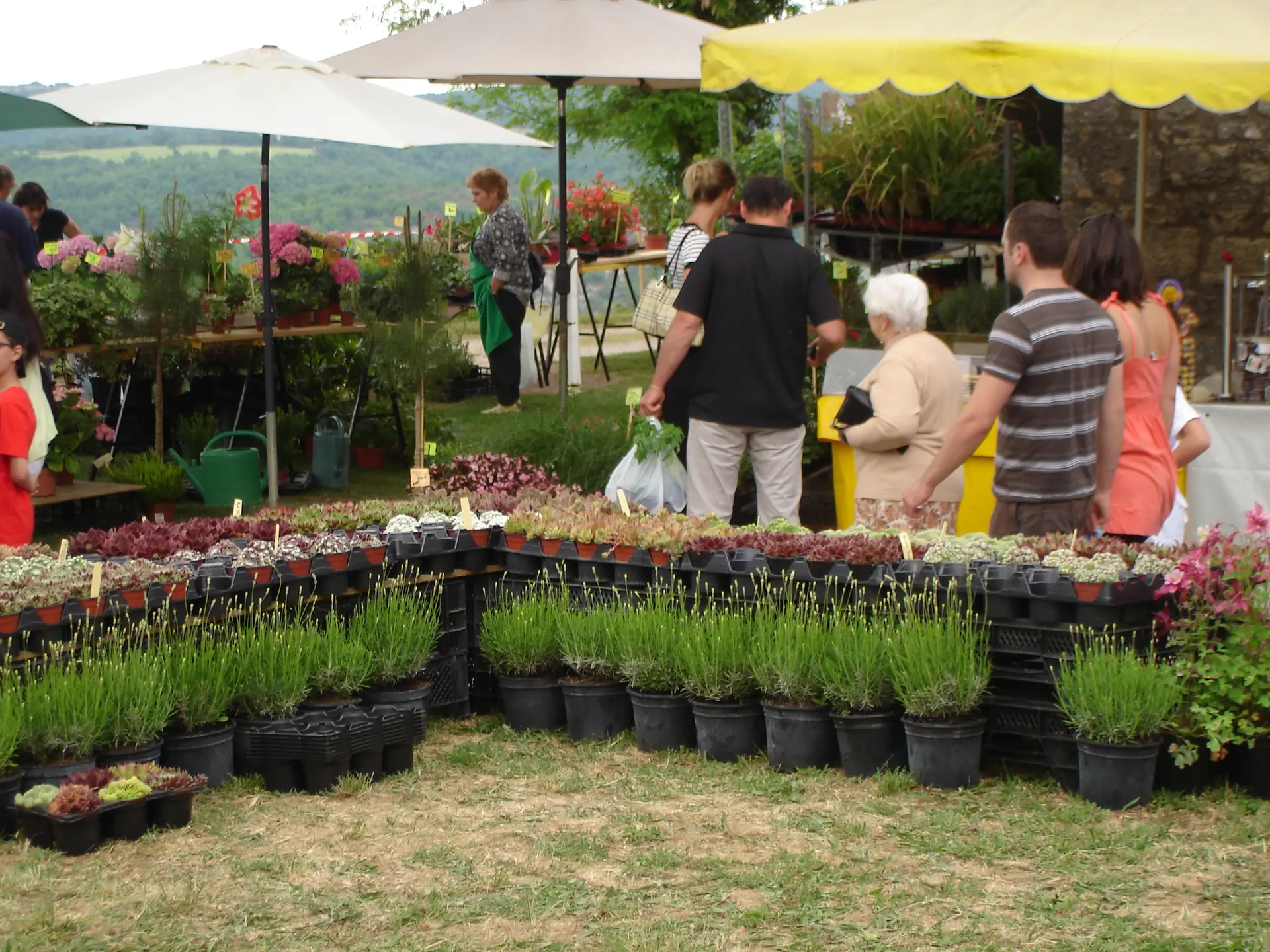 Marché aux fleurs  004