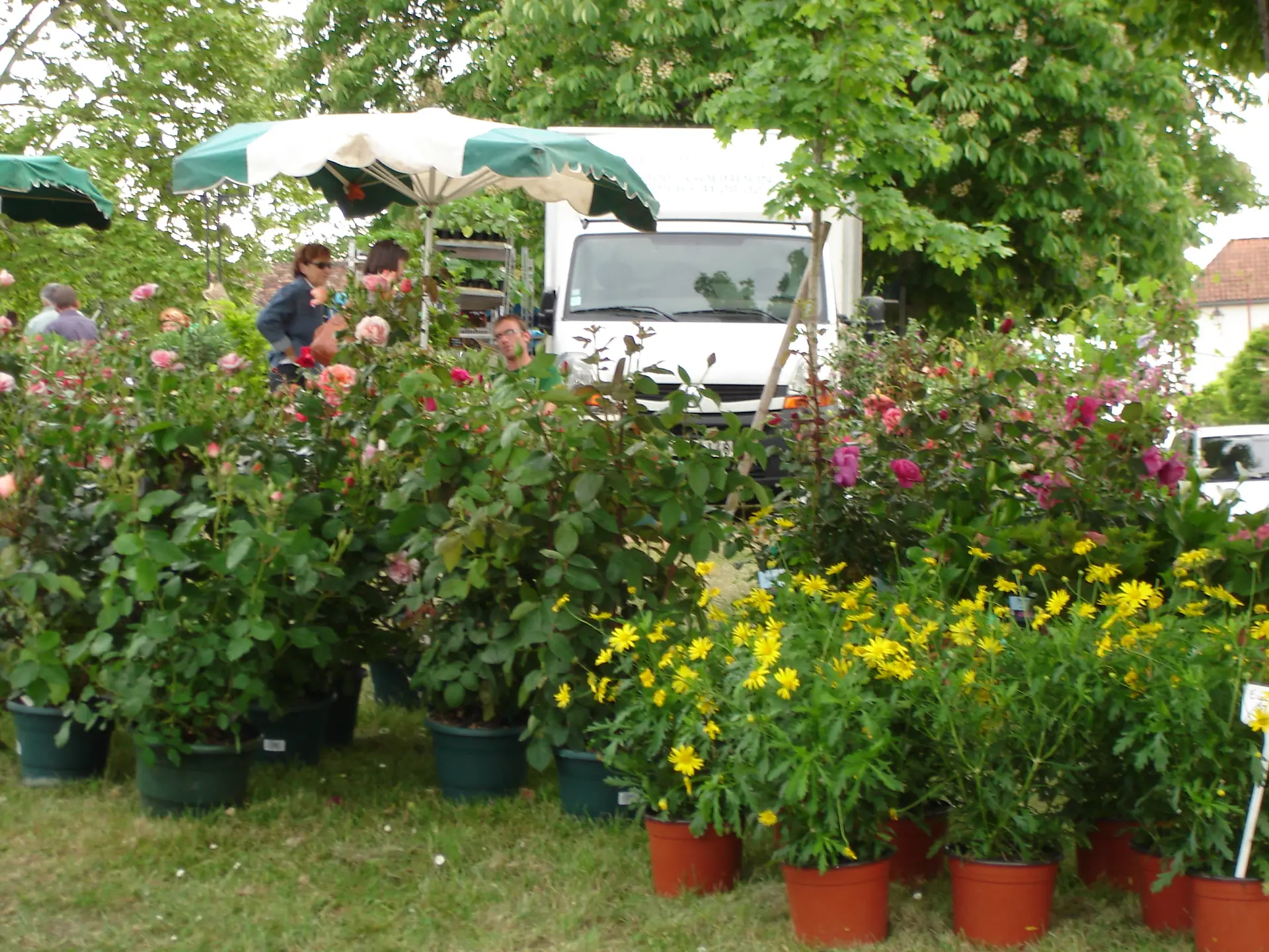 Marché aux fleurs 2011 002