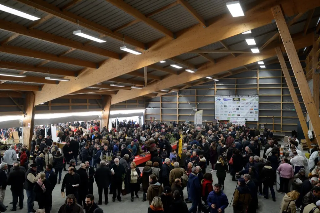 Marché aux truffes de Cuzance © Lot Tourisme - M. Taburet