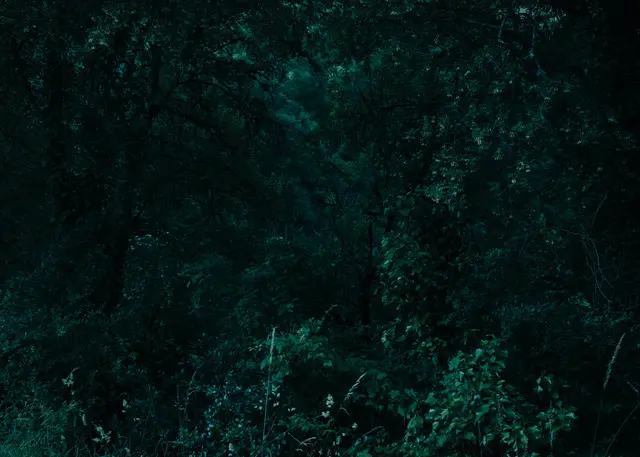 Nocturne 1