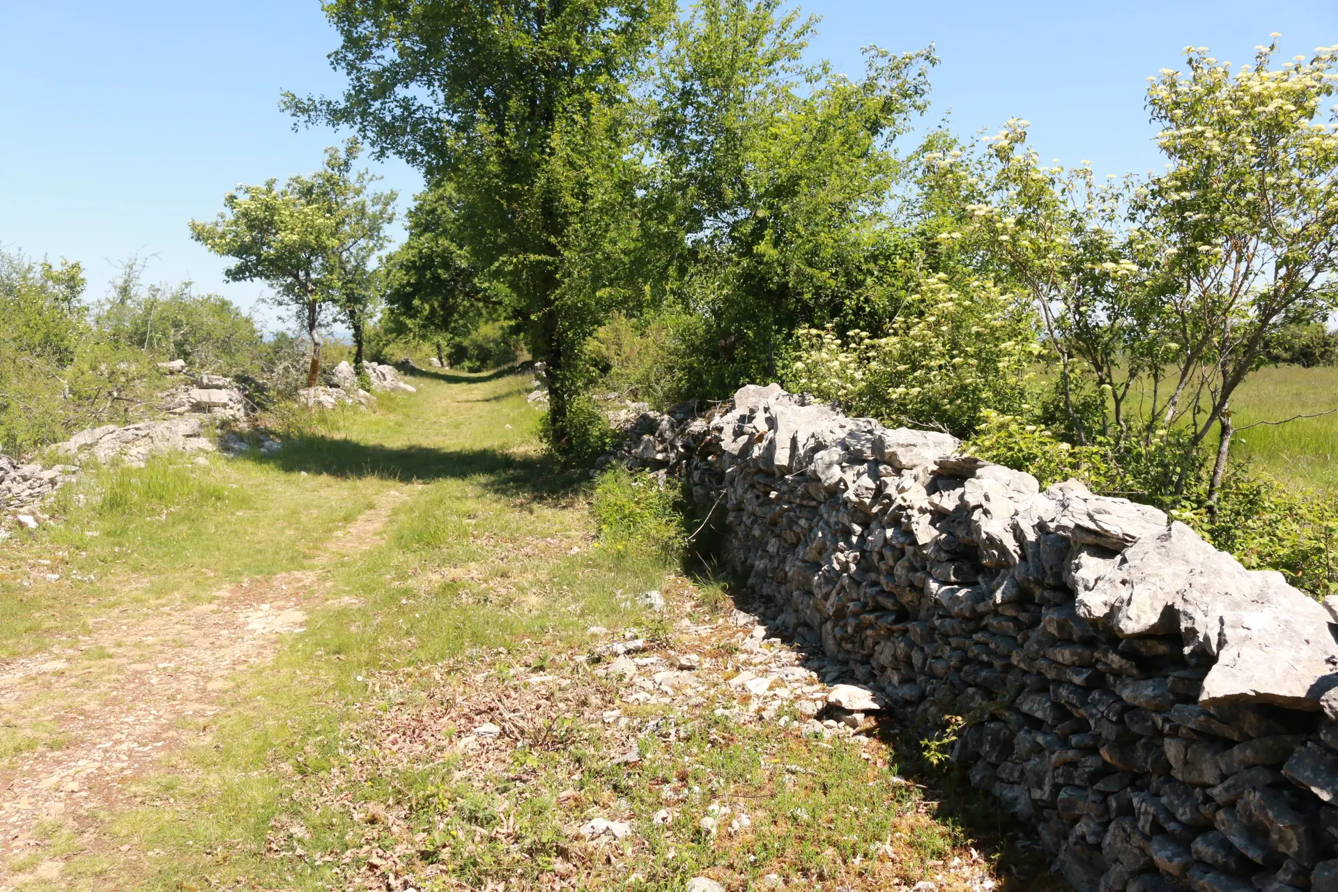 Paysage caussenard©M.Légeron