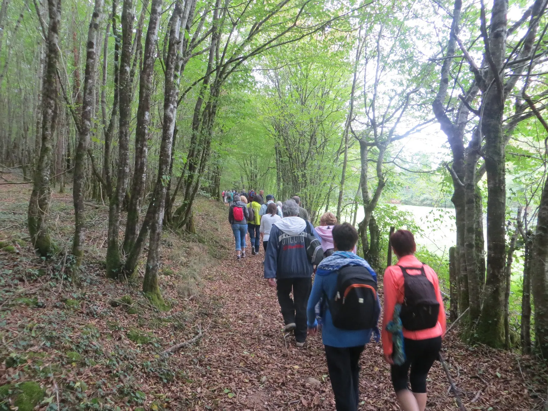 Randonneurs-de-Curemonte