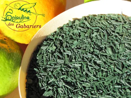 Spiruline en paillettes