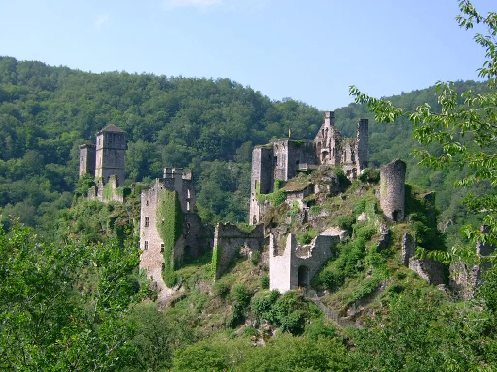 TOURS_DE_MERLE_2