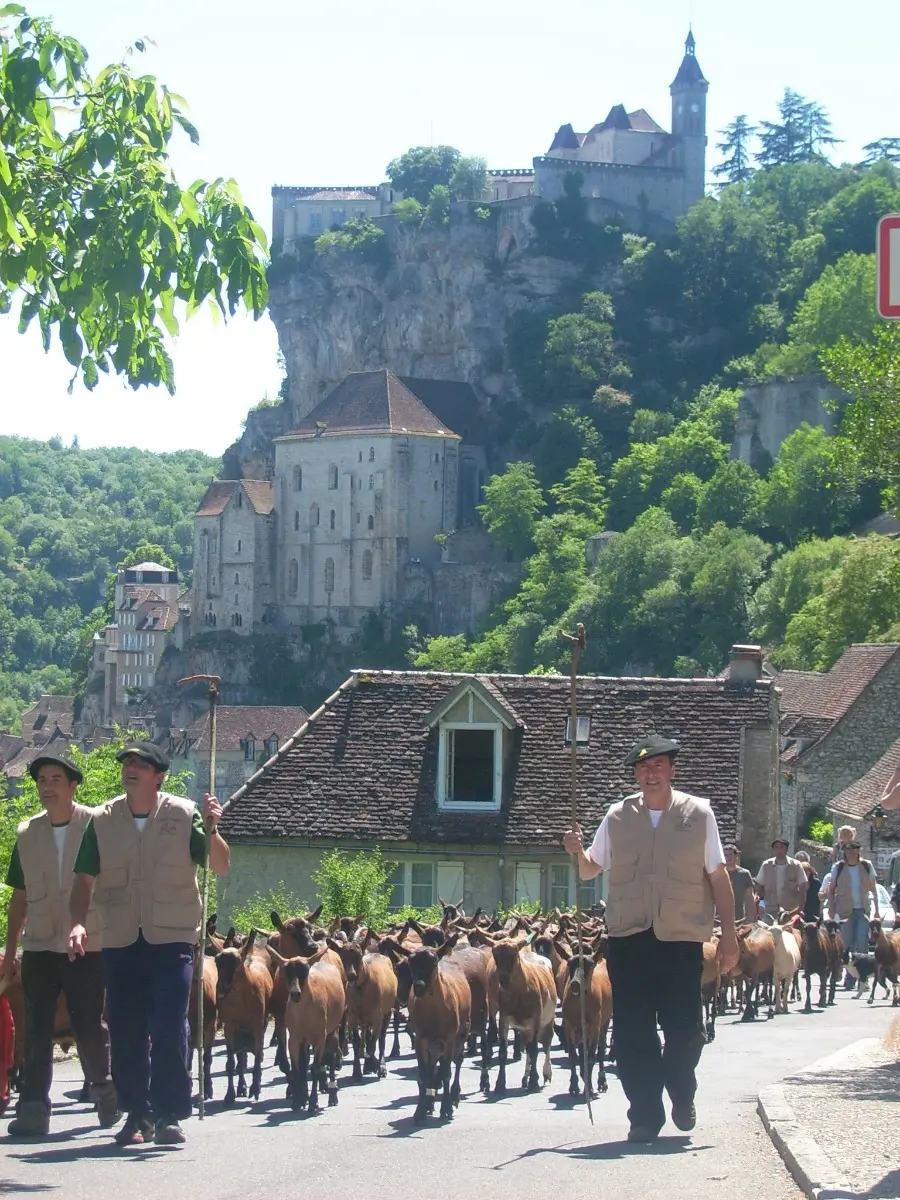 TRANSHUMANCE