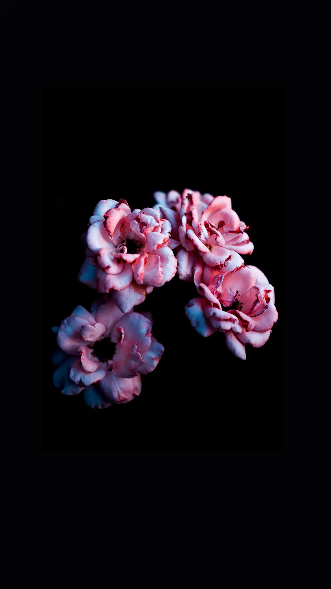 alexandru-acea-qEXFE5h0e8g-unsplash