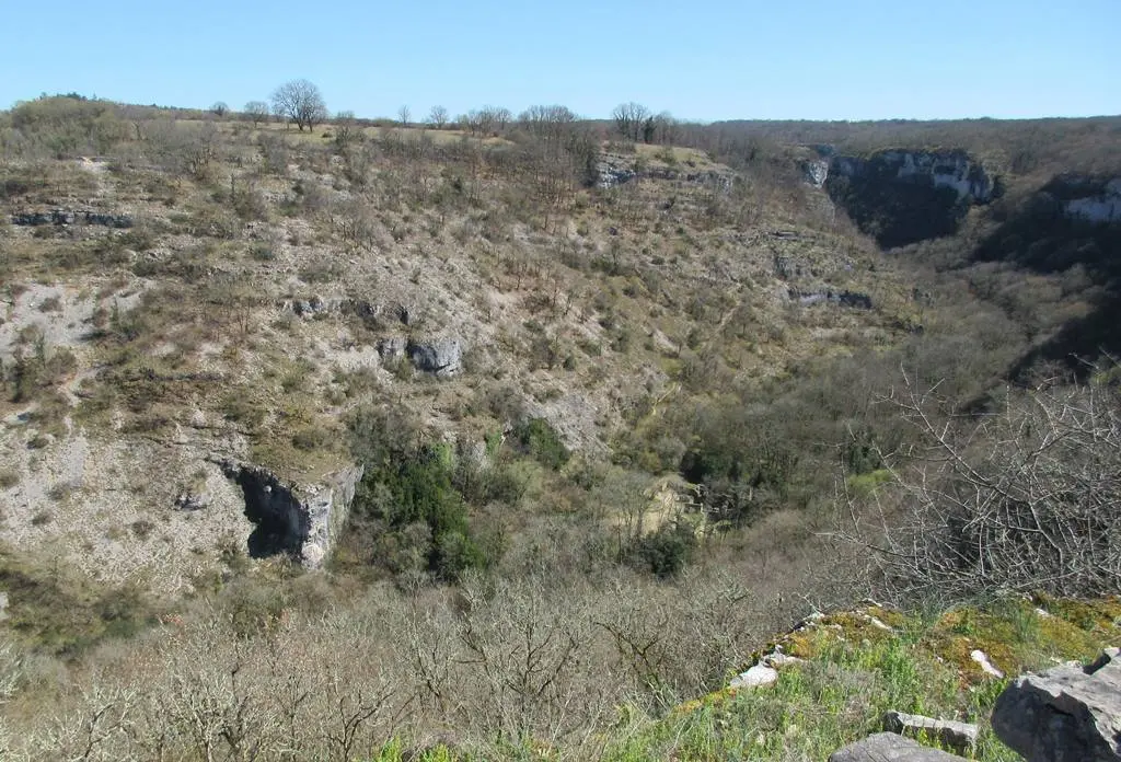 Balade Botanique Moulin du Saut