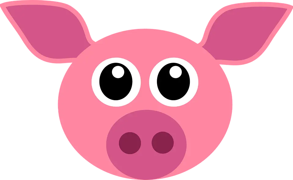 cochon