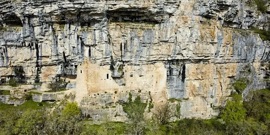 https___cdn.evbuc.com_images_479270199_906652026053_1_original