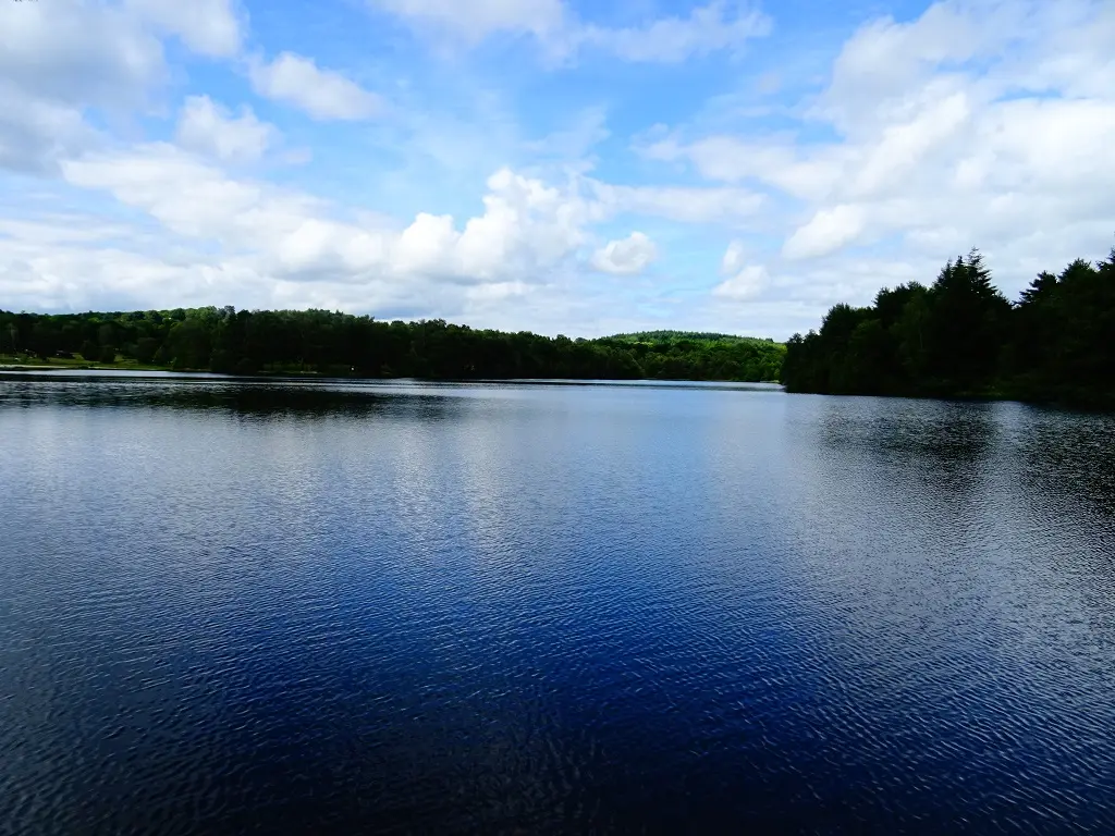 lac de miel