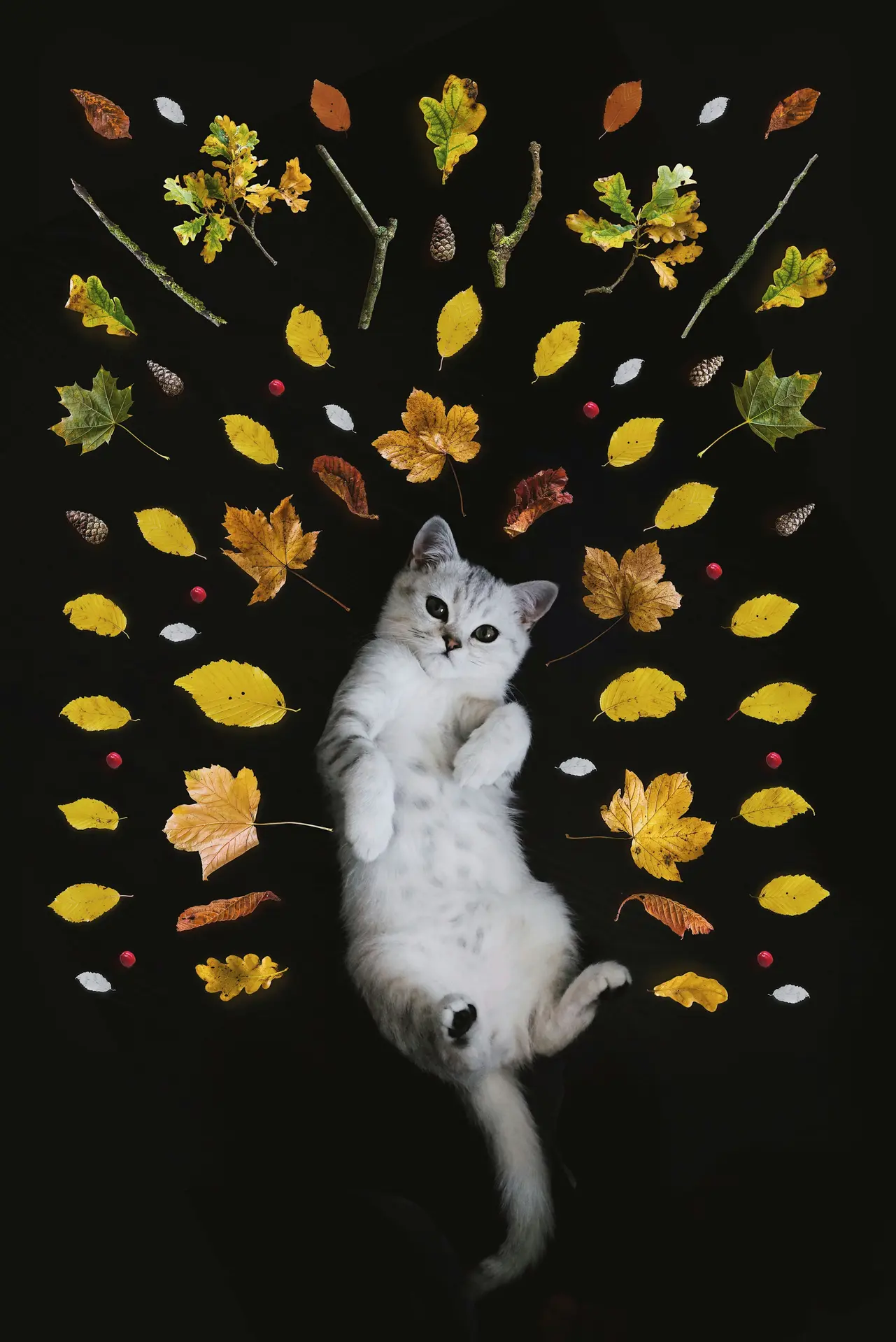 nadi-whatisdelirium-fZ8uf_L52wg-unsplash