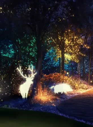 la forêt enchantée 2