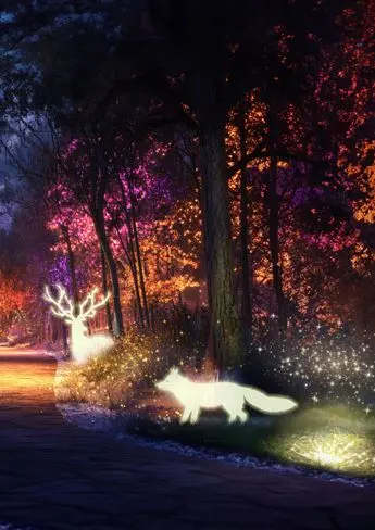 la forêt enchantée 1