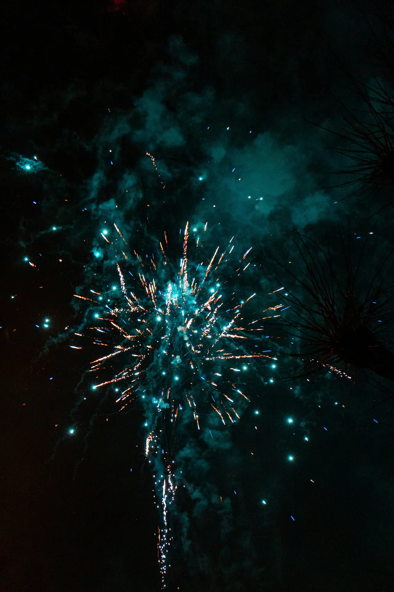 feu d'artifice