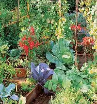 potager en carré