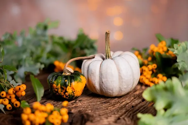pumpkins-5641482_640