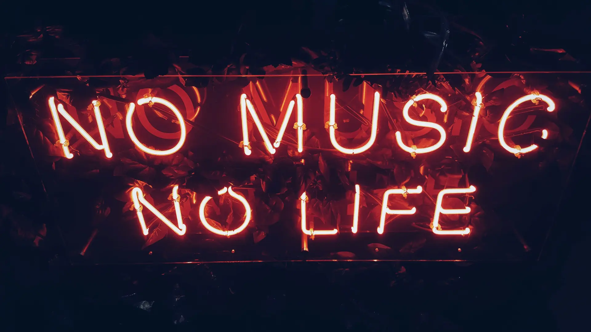 Fête de la musique