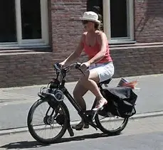 solex