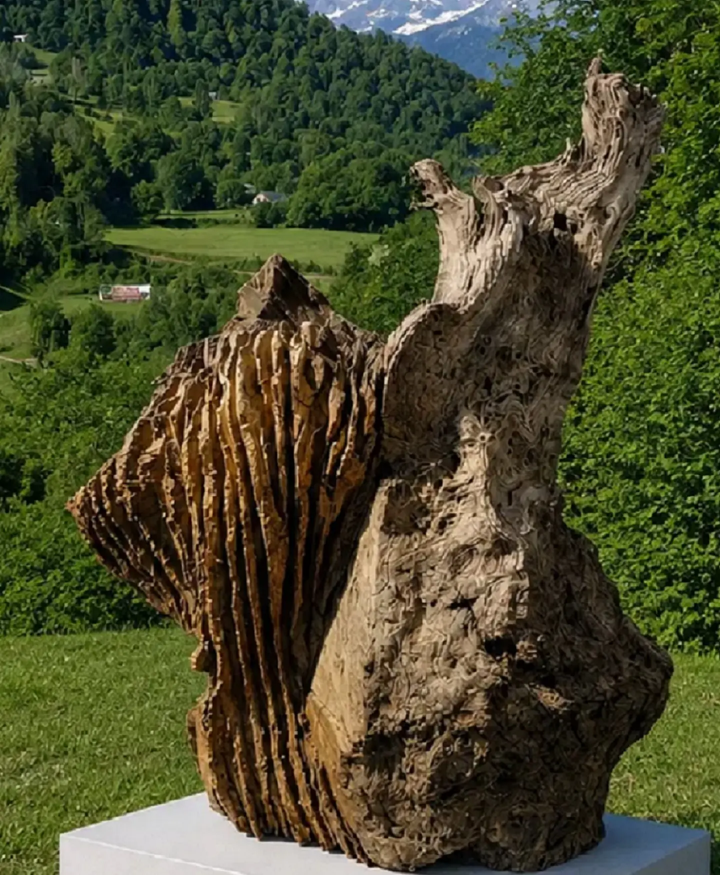 Oeuvre Guy Foucat