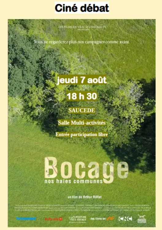 Capture d’écran 2025-07-25 151351