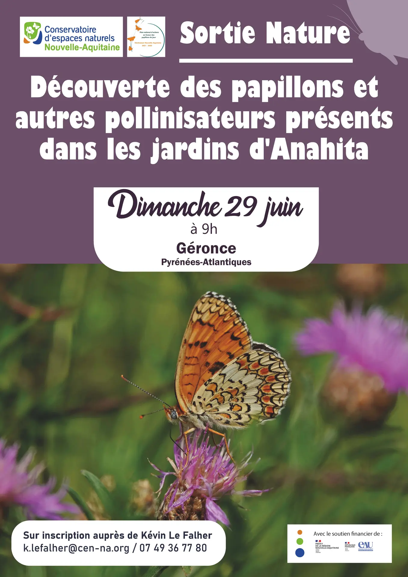 Découverte des papillons et autres pollinisateurs présents dans les jardins d'Anahita