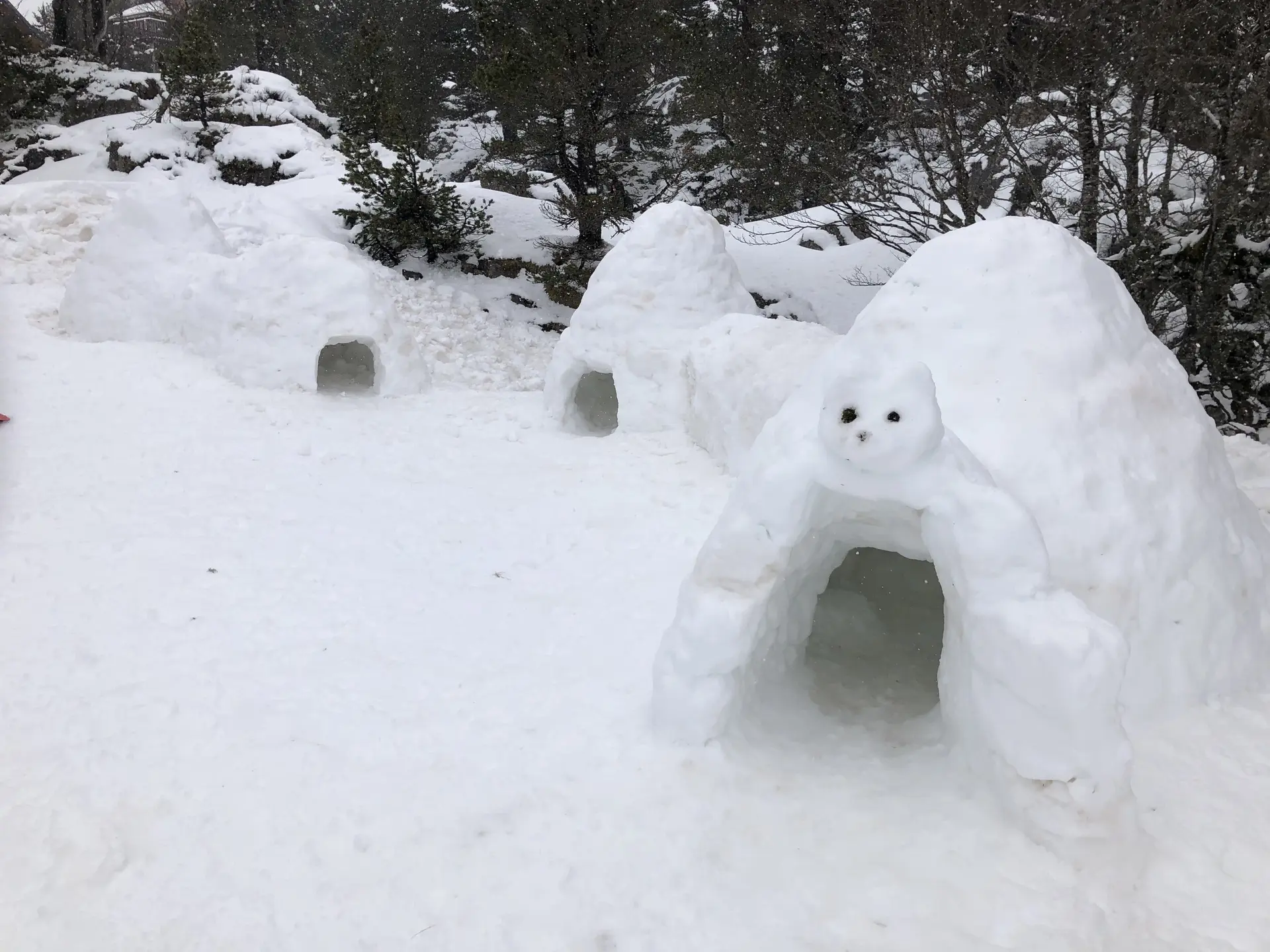 Famille igloo