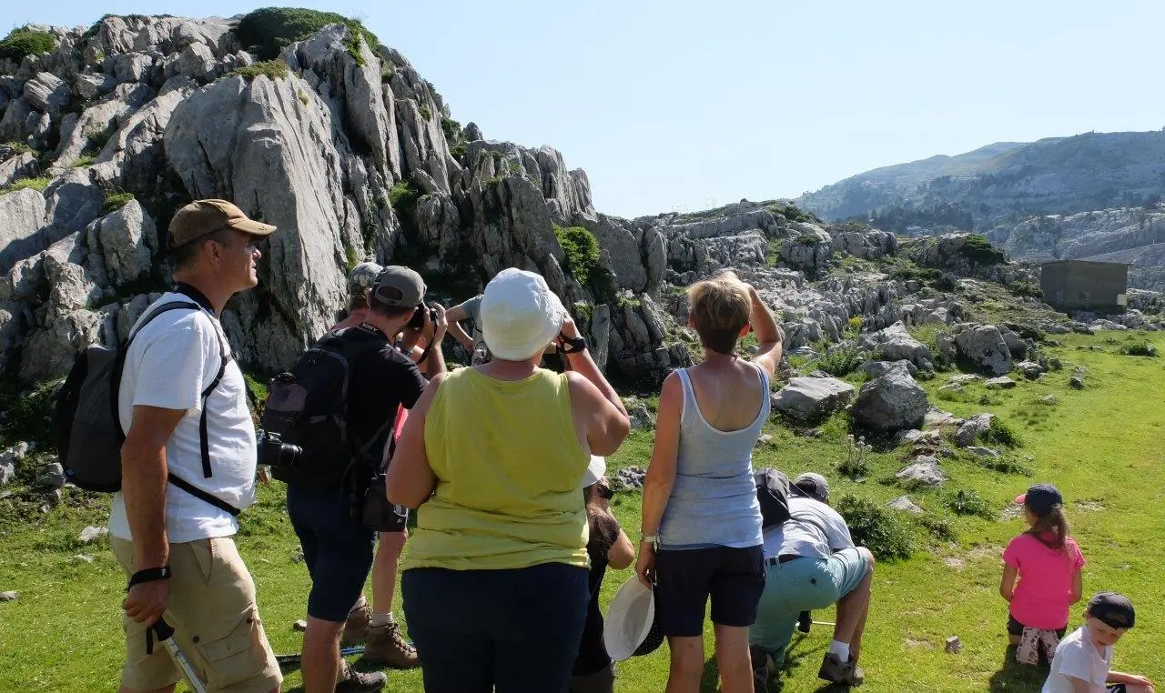 SORTIE MARMOTTES 2019