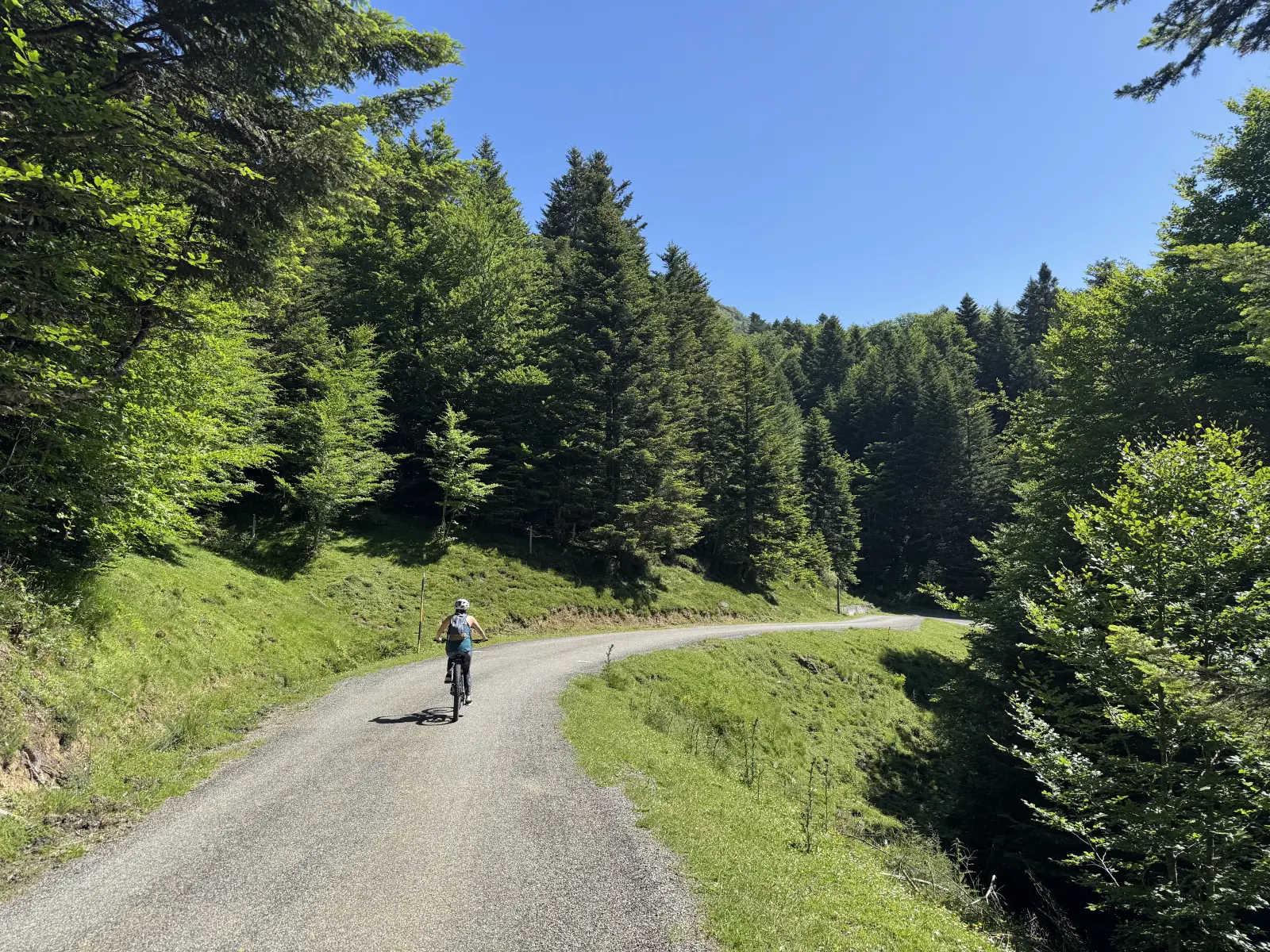 Balade accompagnée à vélo électrique