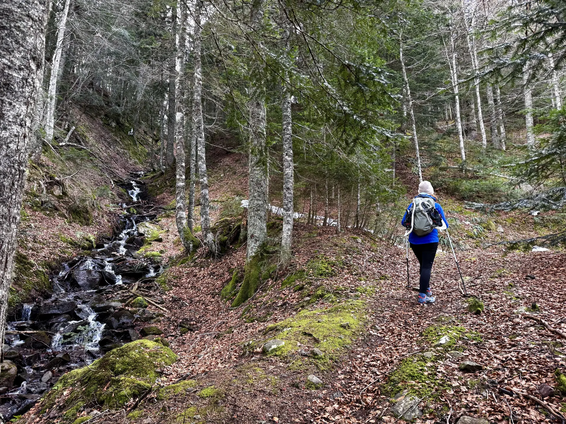 Randonnée sur les traces de la faune sauvage