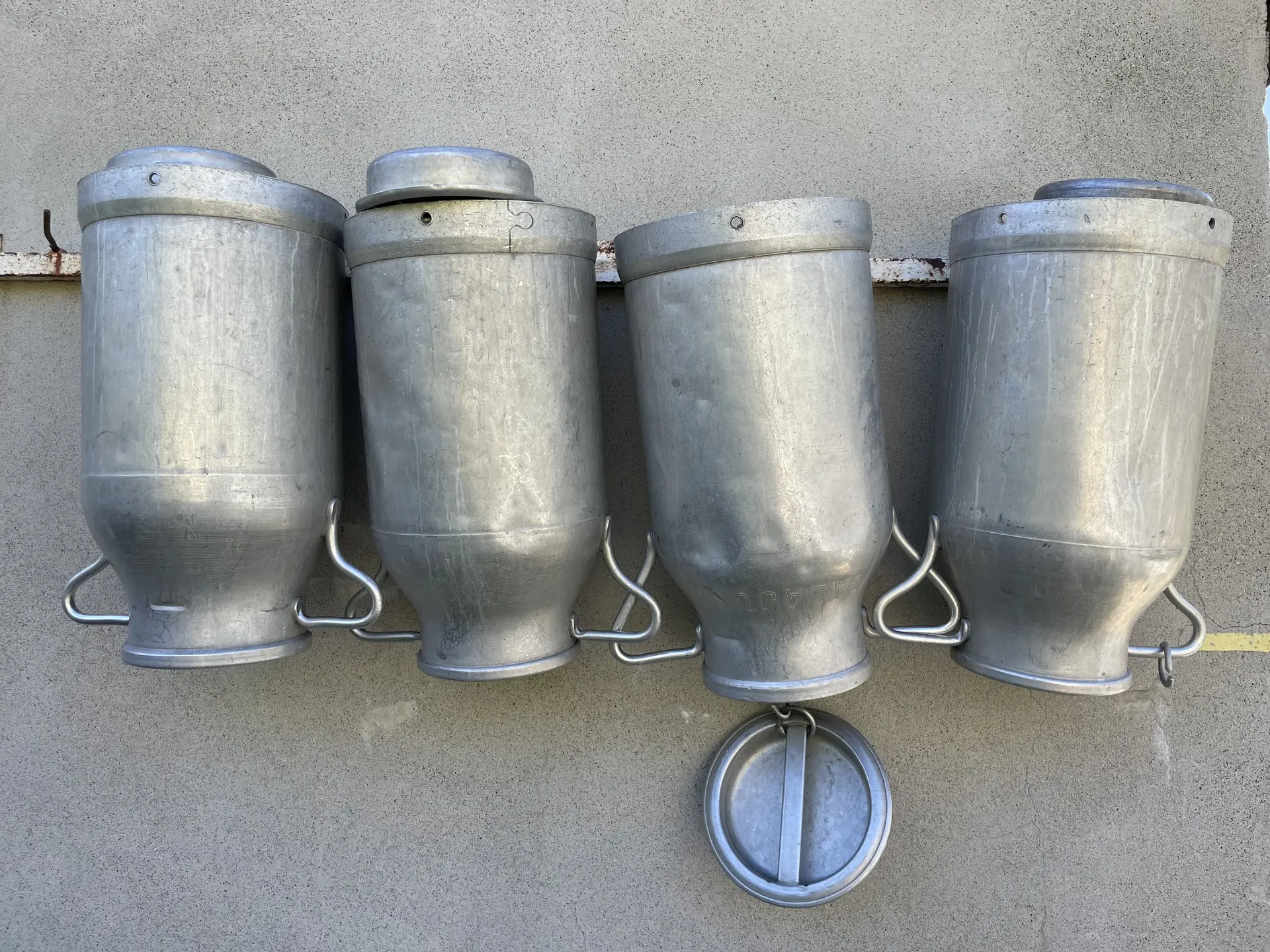 Bidons pour la traite des brebis et des vaches