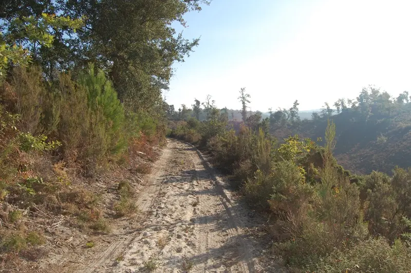 circuit 16-6-2-3