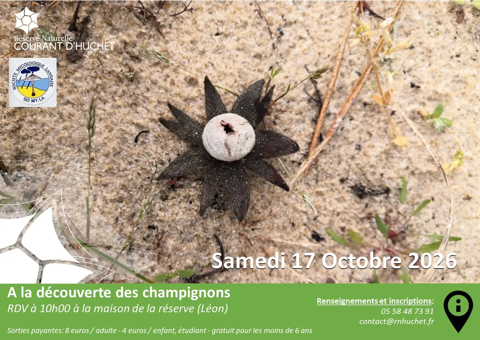 LEON-Réerve-Champignons