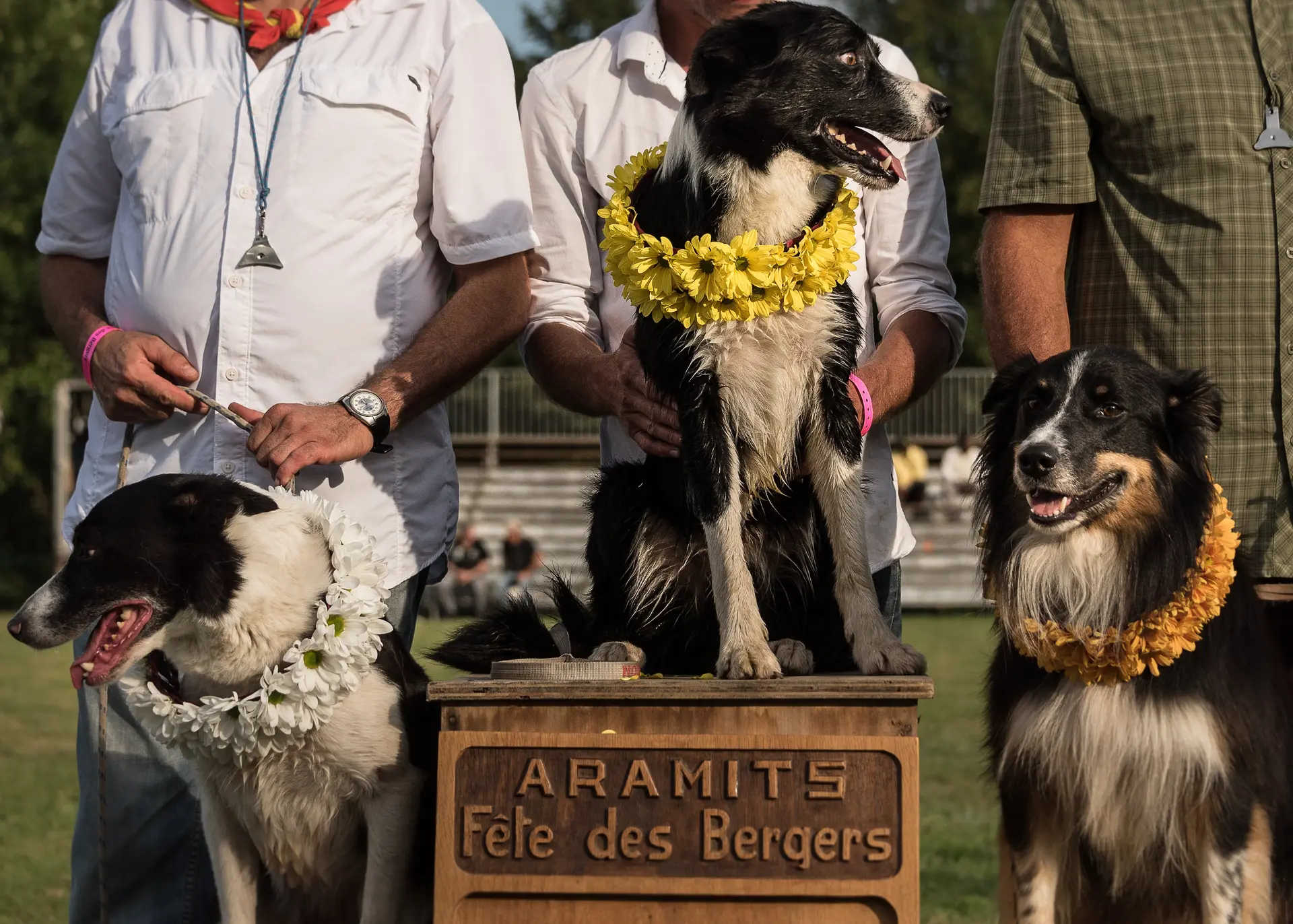 Remise des prix du concours de chien de berger de la Fête des bergers d'Aramits